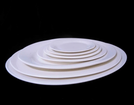 Тарелка 16 в аренду